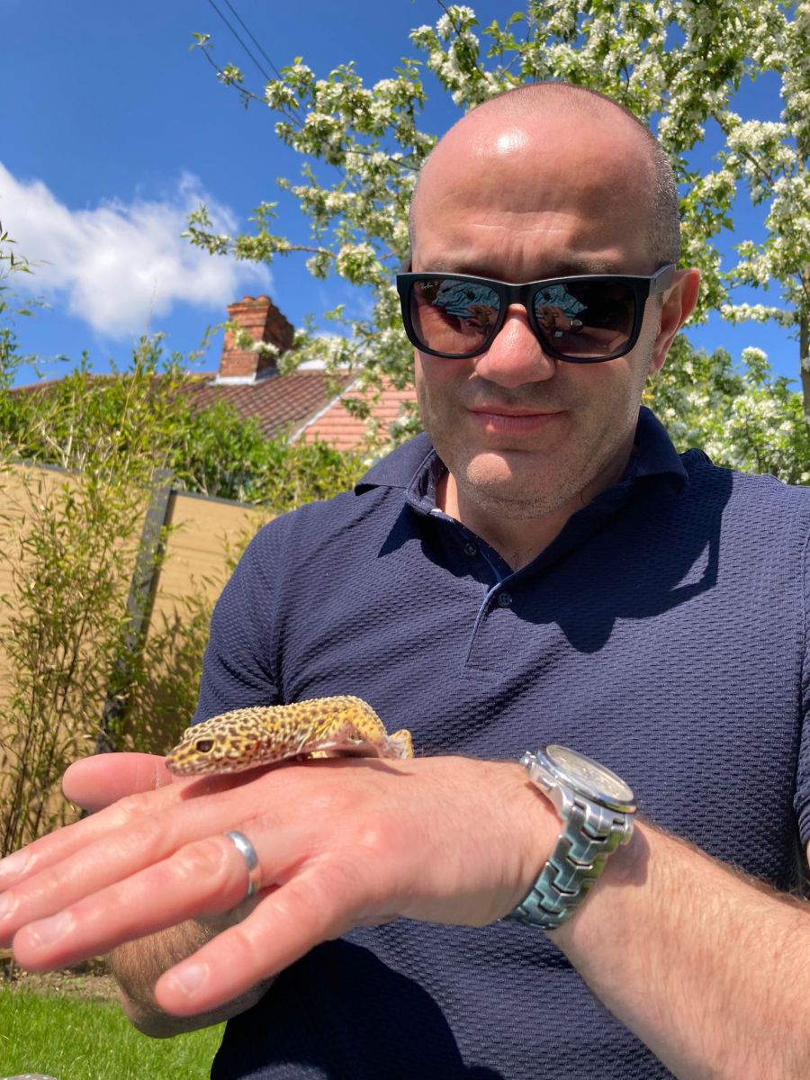 A man holds a small Gecko on the back of his hand
